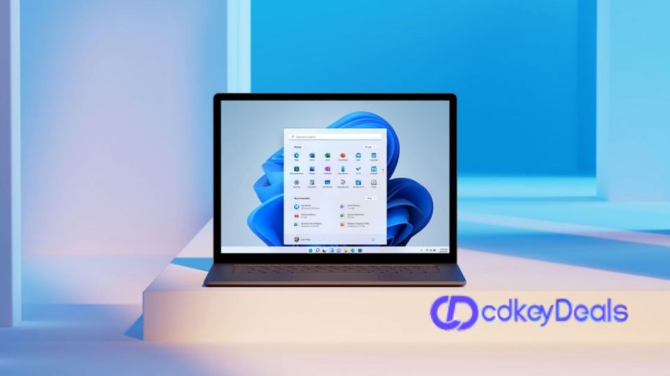 Windows 11 Pro License