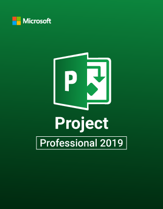 Microsoft Project Professional 2019