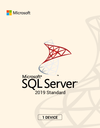 Microsoft SQL Server 2019 Standard 1 Device License Key-1