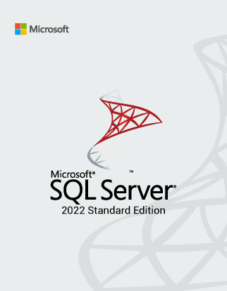 SQL Server 2022 Standard Edition