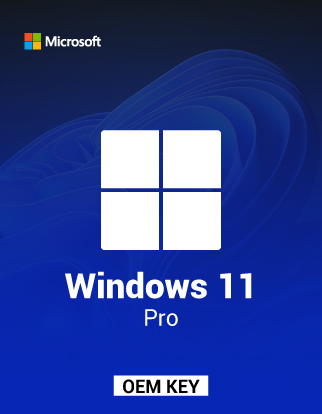 Windows 11 Pro OEM key-1