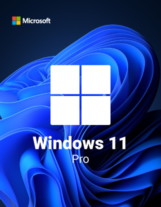 Microsoft Windows 11 Professional
